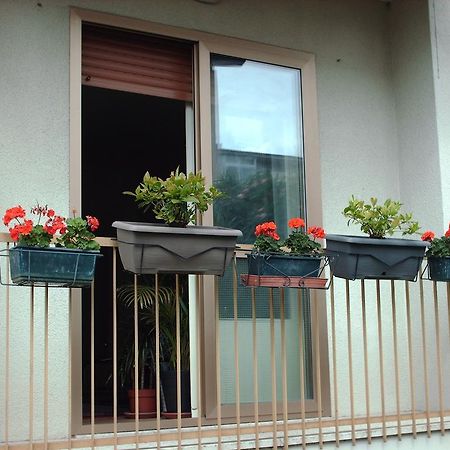 Guest House Cuore Del Friuli Udine Eksteriør billede