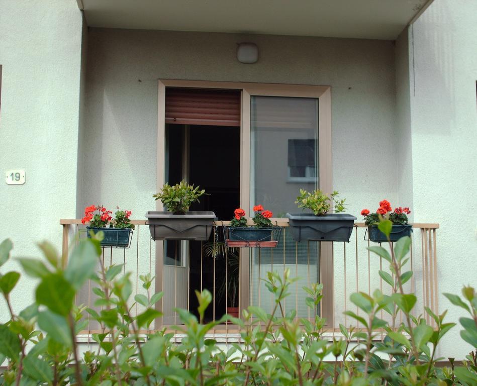 Guest House Cuore Del Friuli Udine Eksteriør billede