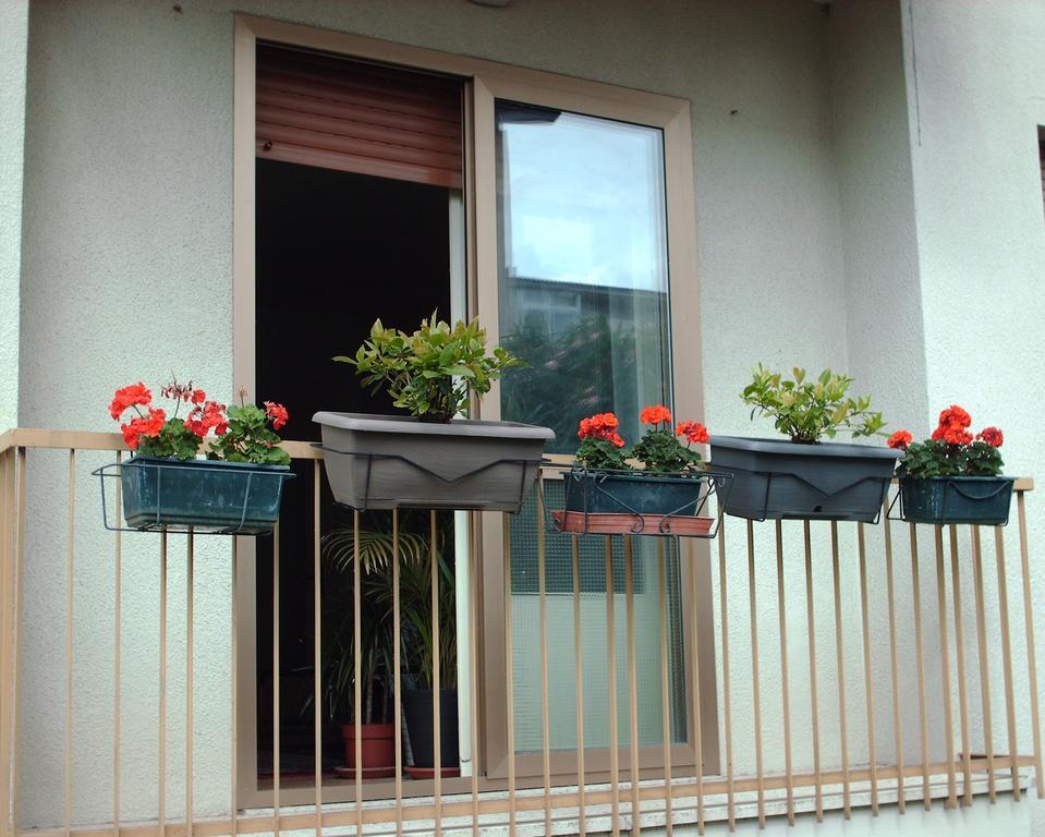 Guest House Cuore Del Friuli Udine Eksteriør billede